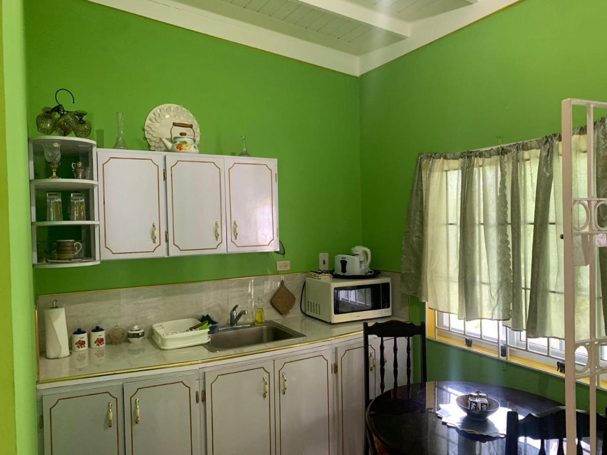 Shalom Suite 2, Manor Park Kingston Esterno foto