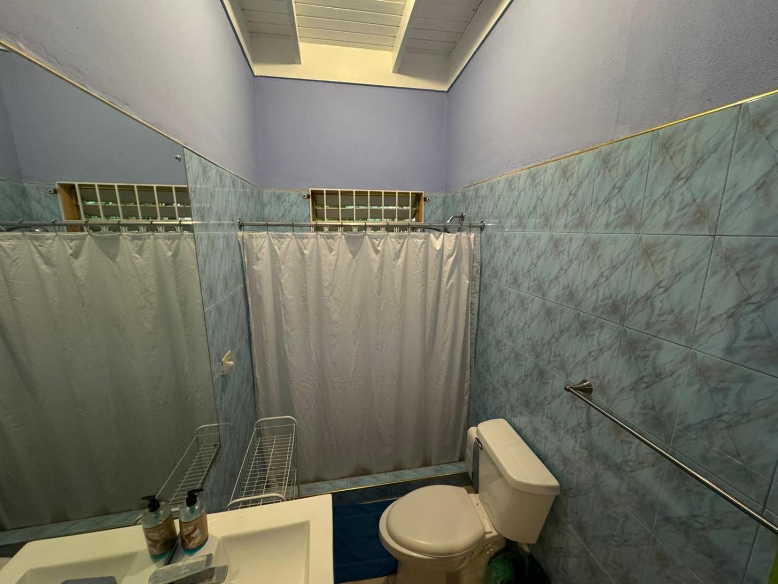 Shalom Suite 2, Manor Park Kingston Esterno foto