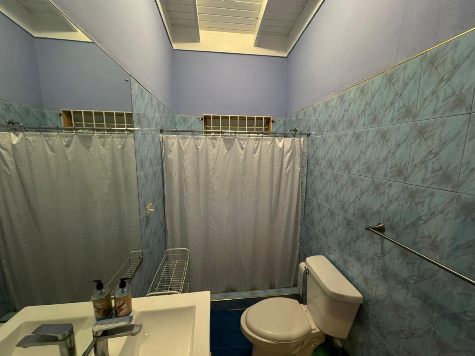 Shalom Suite 2, Manor Park Kingston Esterno foto
