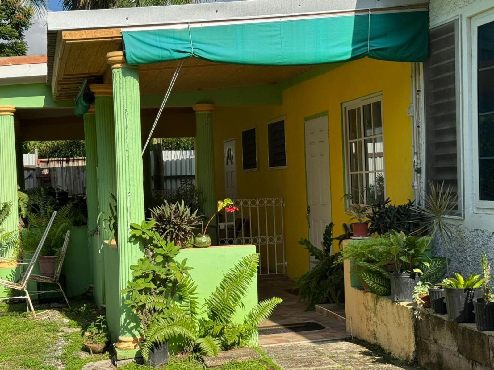 Shalom Suite 2, Manor Park Kingston Esterno foto